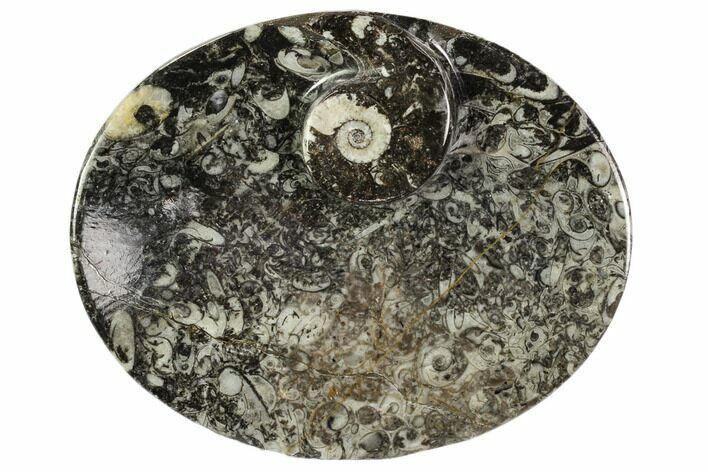 Oval Shaped Fossil Goniatite Dish - Morocco #108014